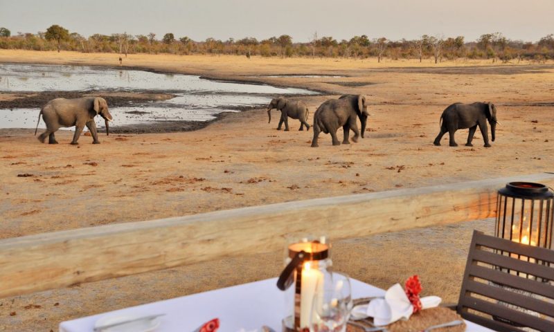 Nogatsaa Pans Lodge - Botswana