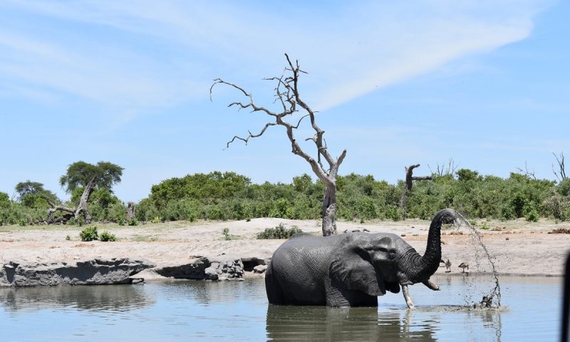 Nogatsaa Pans Lodge - Botswana