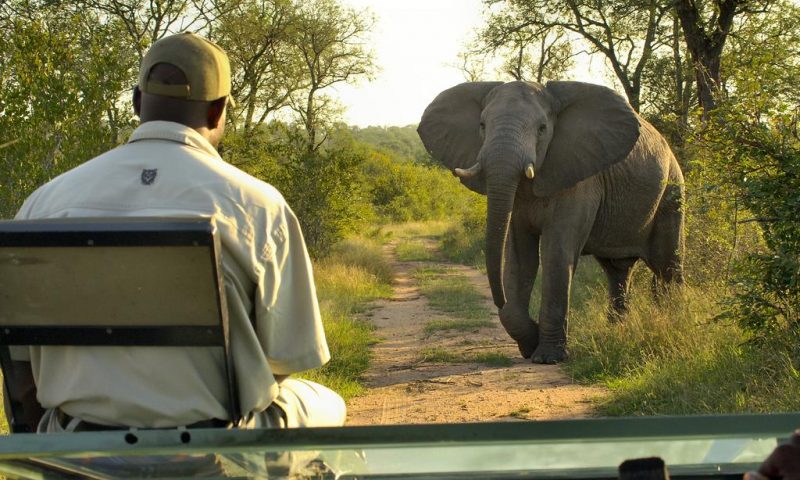 Lukimbi Safari Lodge South Africa