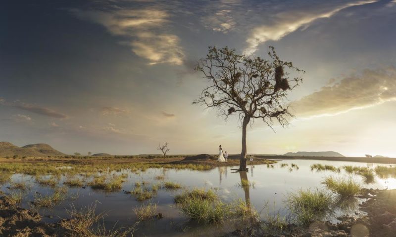 Tuningi Safari Lodge South Africa