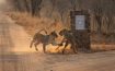 Kapama River Lodge, Limpopo - South Africa