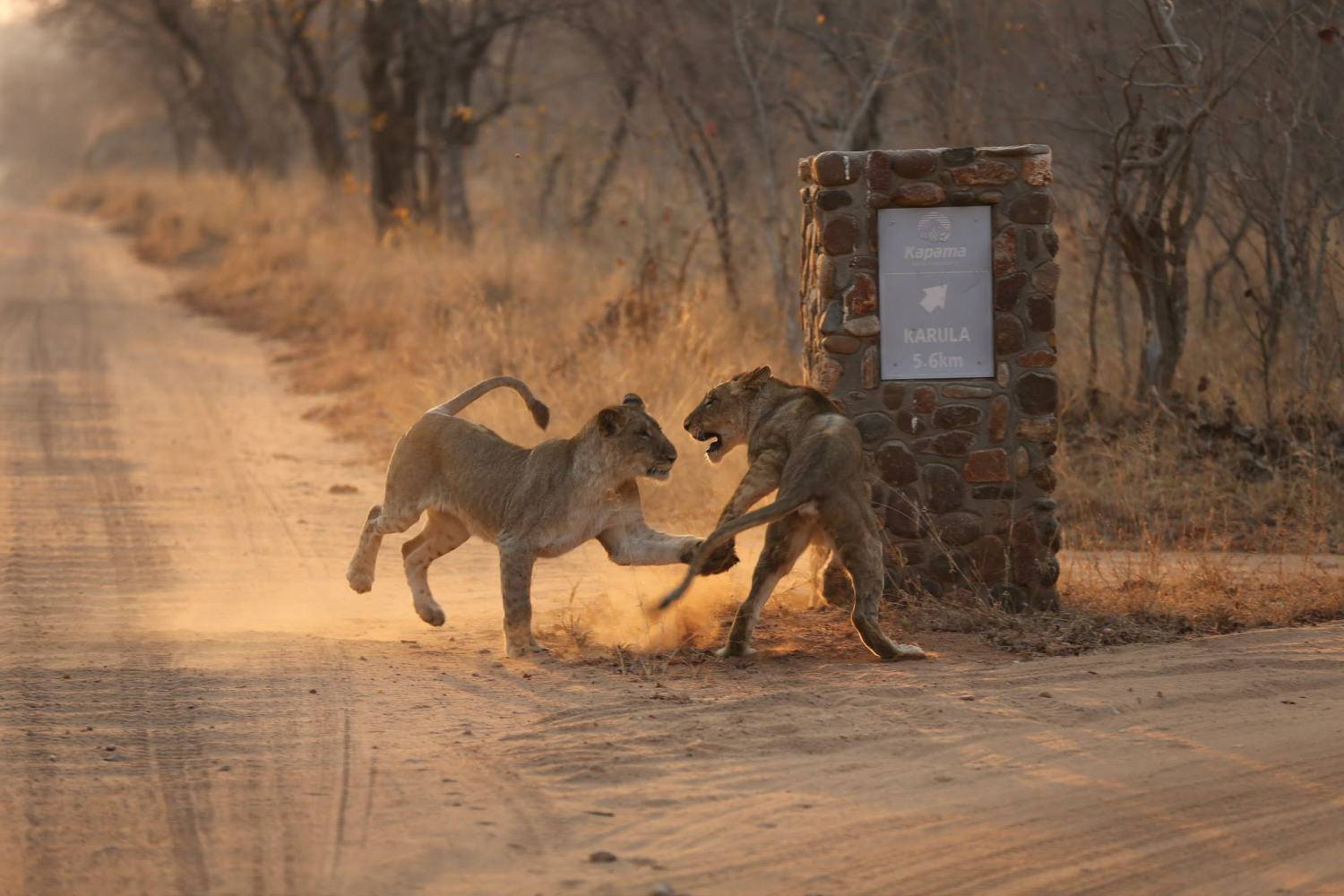 Kapama River Lodge, Limpopo - South Africa