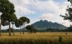 Sabyinyo Silverback Lodge - Rwanda