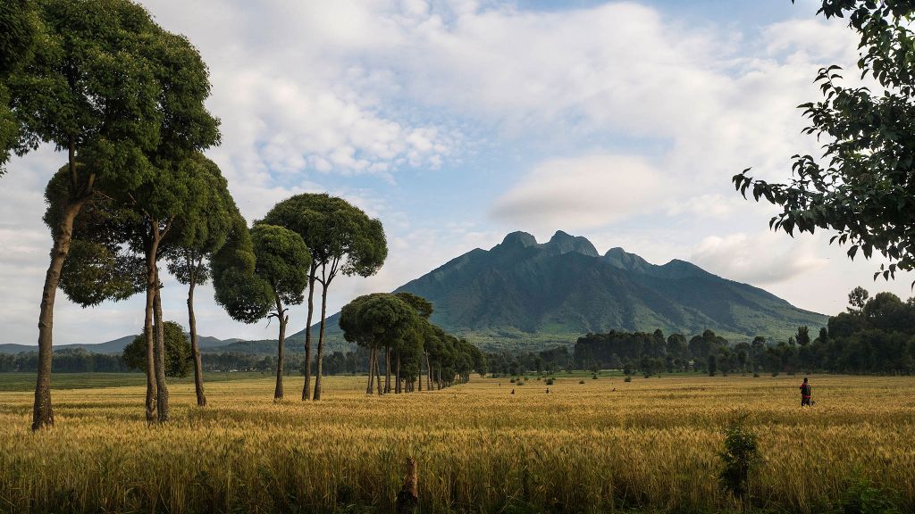 Sabyinyo Silverback Lodge - Rwanda