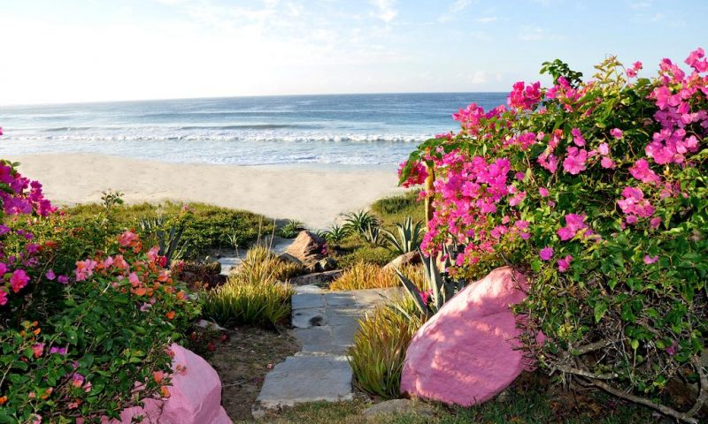 Las Alamandas Mexico