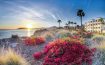 Dolphin Bay Resort and Spa California
