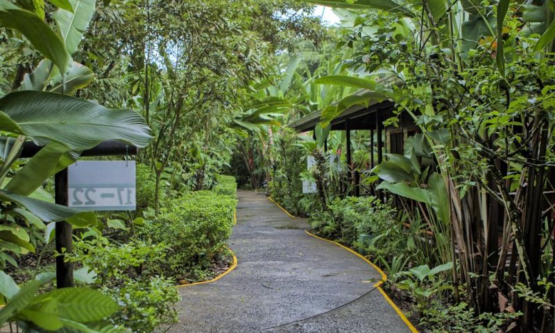 Pachira Lodge Costa Rica