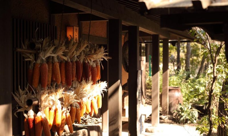 Ryokan Kurokawa Onsen Oyado Noshiyu