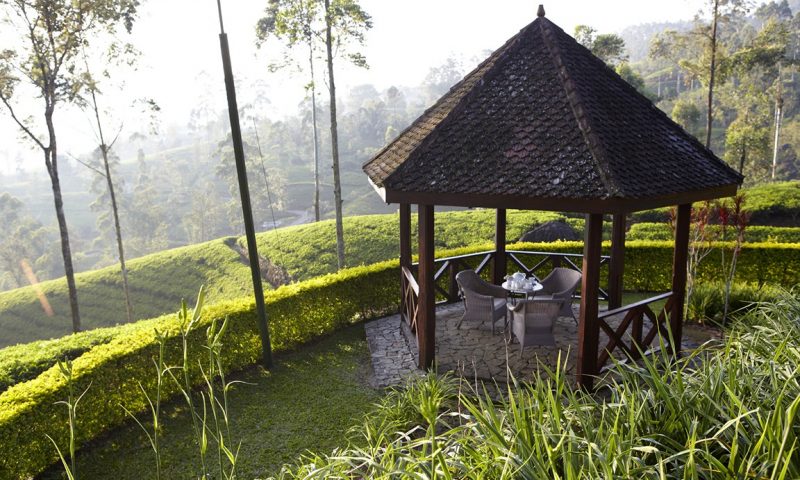 Ceylon Tea Trails