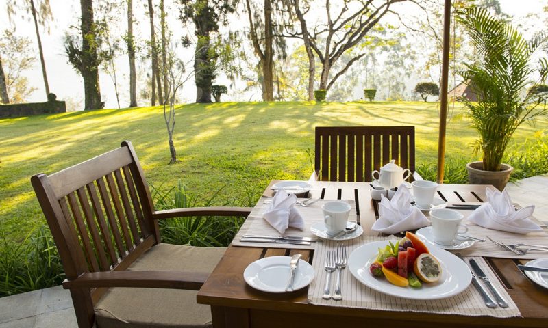 Ceylon Tea Trails