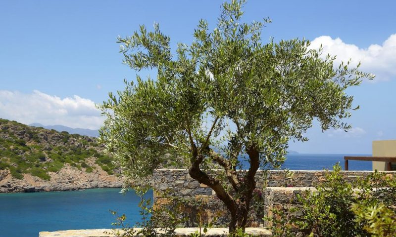 Daios Cove Luxury Resort & Villas