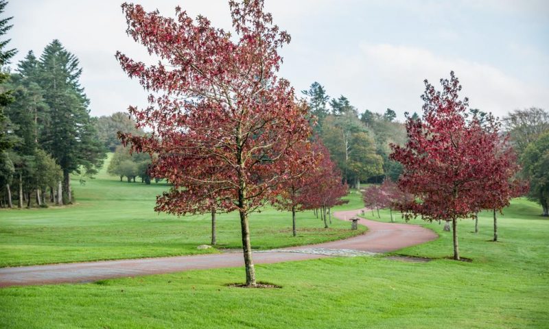 Bovey Castle