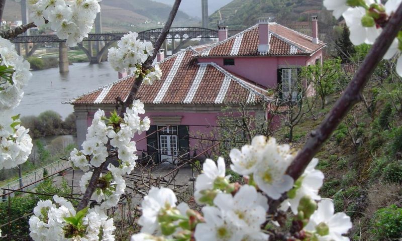 Casa Dos Varais, Manor House