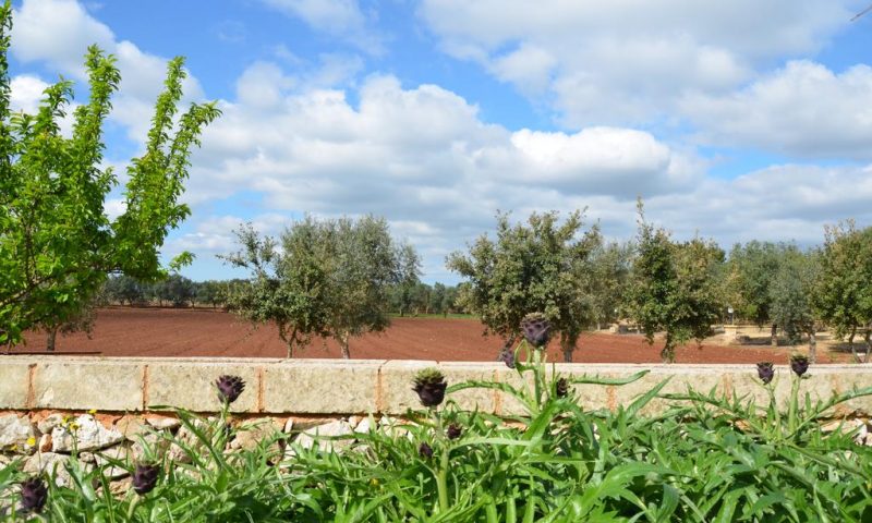 Masseria Chicco Rizzo Salento