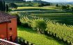 Castello di Buttrio