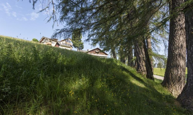 Der Zirmerhof