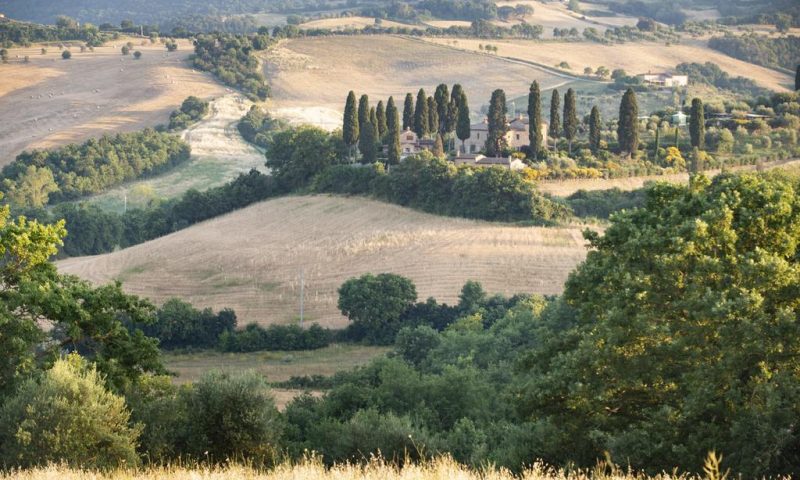 Villa San Sanino Siena