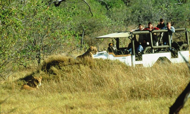 Camp Moremi Botswana