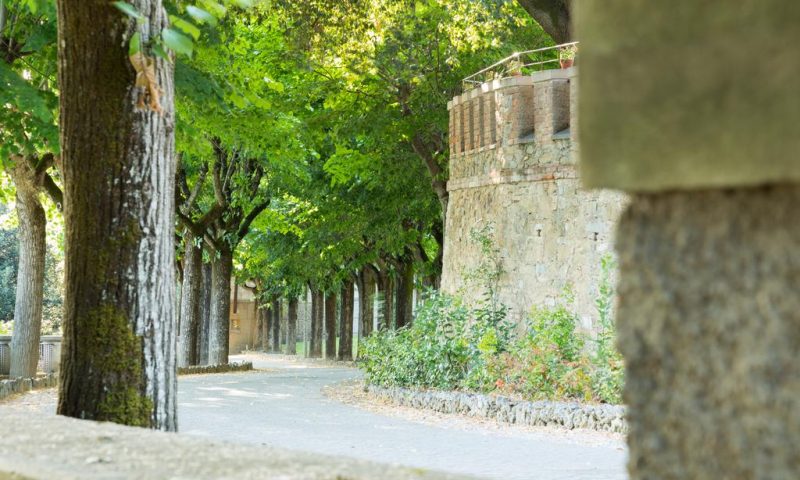 Borgo Dei Conti Resort Monte Petriolo