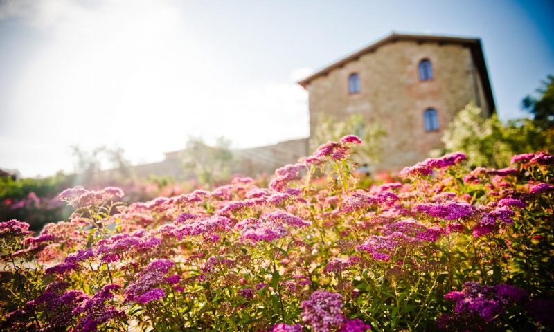 Borgo Dei Conti Resort Monte Petriolo