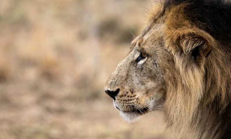 Finch Hattons Luxury Camp - Kenya