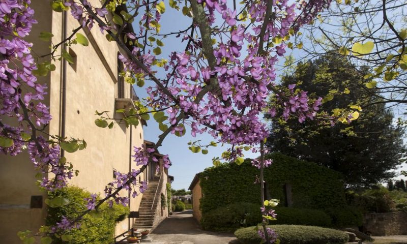 Relais Della Rovere Siena