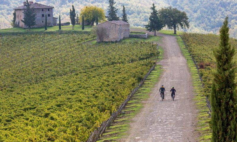 Villa Di Capovento Castellina in Chianti