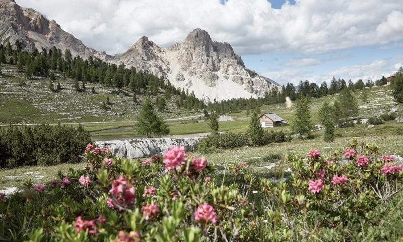 Excelsior Dolomites Life Resort