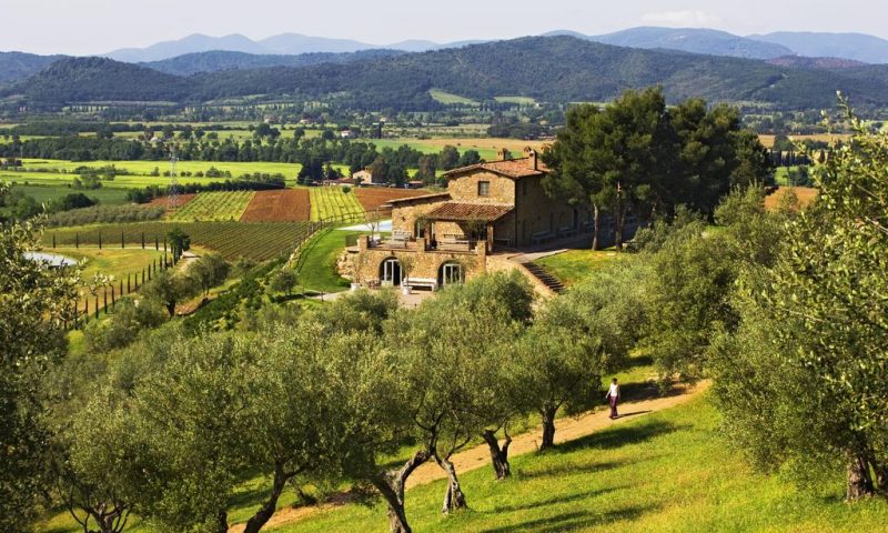 Wine Resort Conti di San Bonifacio