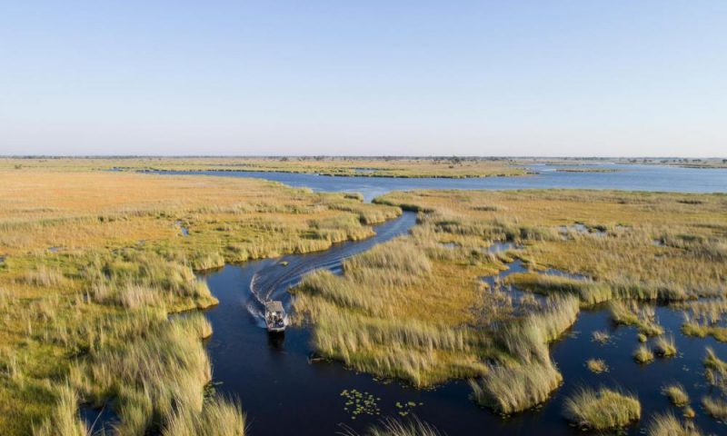 Camp Moremi Botswana