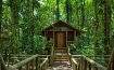 Evergreen Lodge Tortuguero