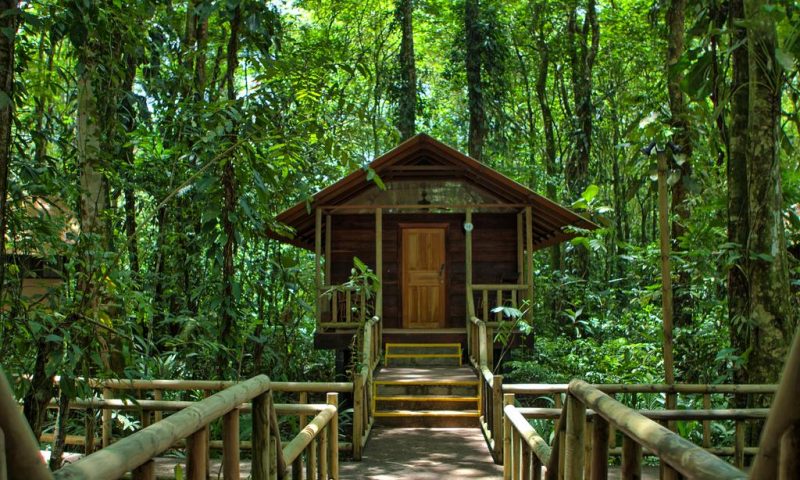 Evergreen Lodge Tortuguero