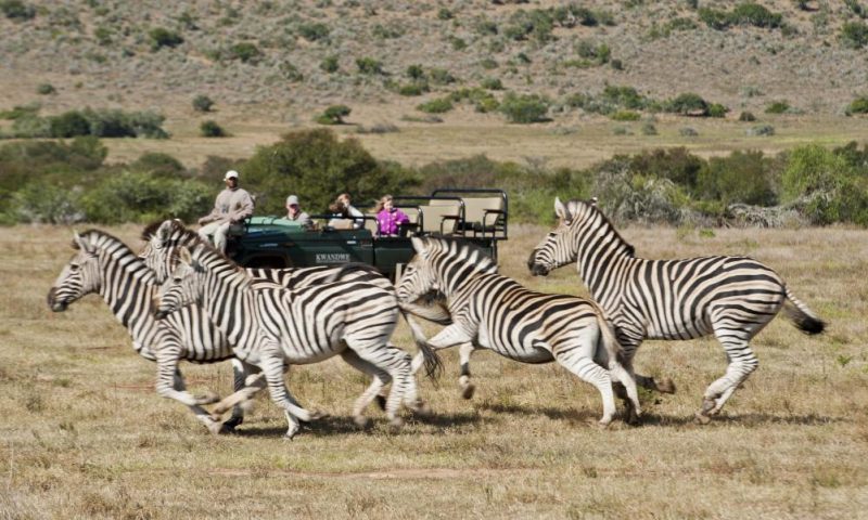 Kwandwe Ecca Lodge