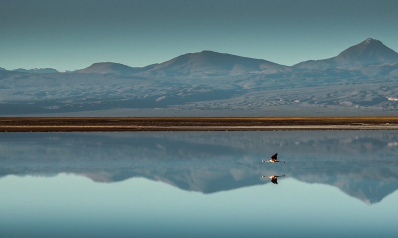 Awasi Atacama