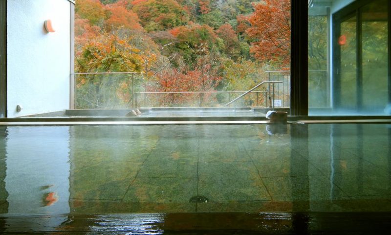 Ryokan Fujiiso