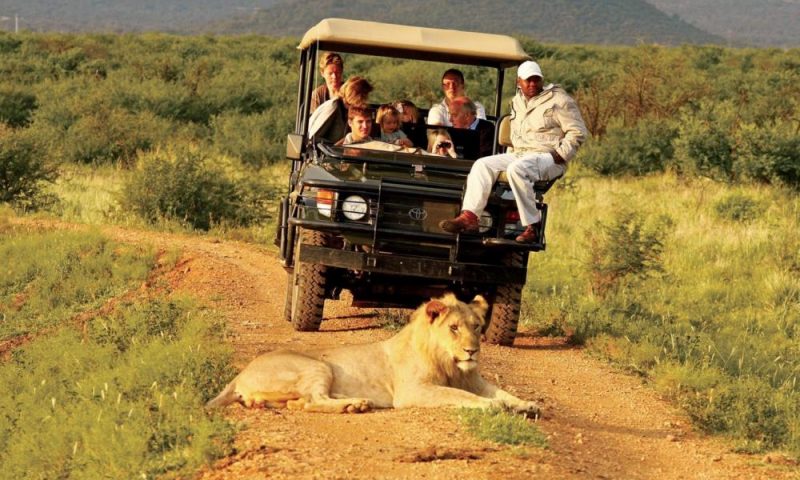 Madikwe Hills Private Game Lodge