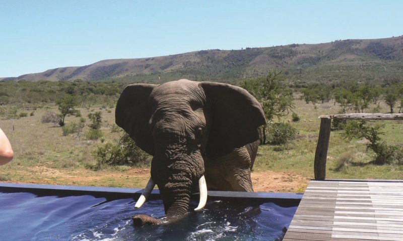 Pumba Private Game Reserve