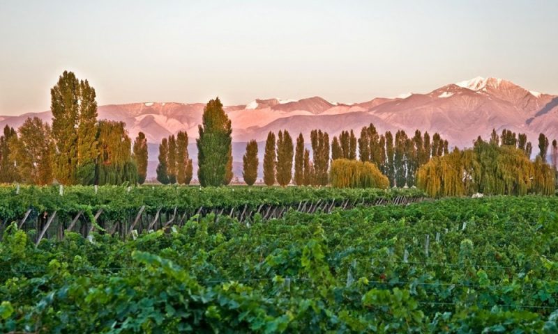 Cavas Wine Lodge Mendoza