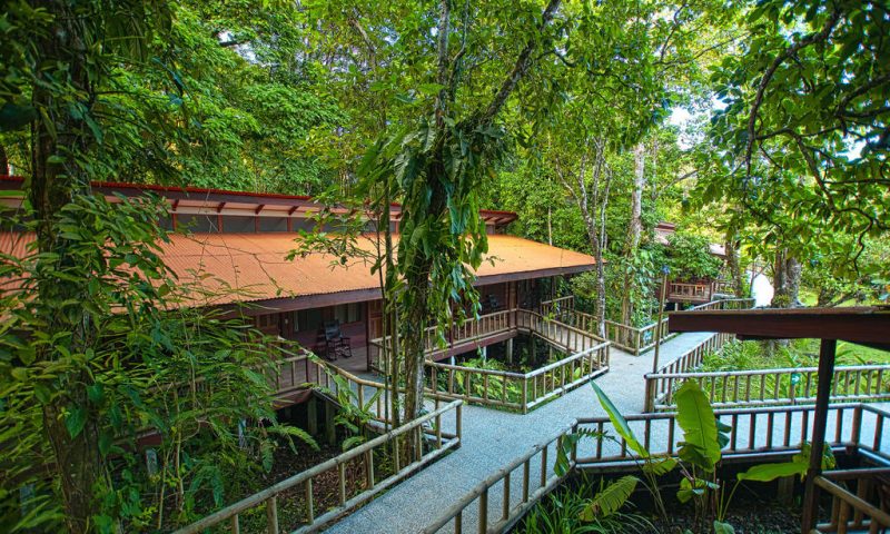 Evergreen Lodge Tortuguero