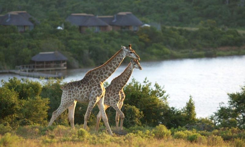 Pumba Private Game Reserve