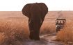 Nambiti Hills Private Game Reserve