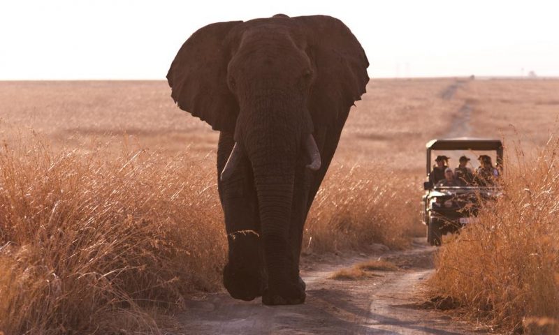 Nambiti Hills Private Game Reserve