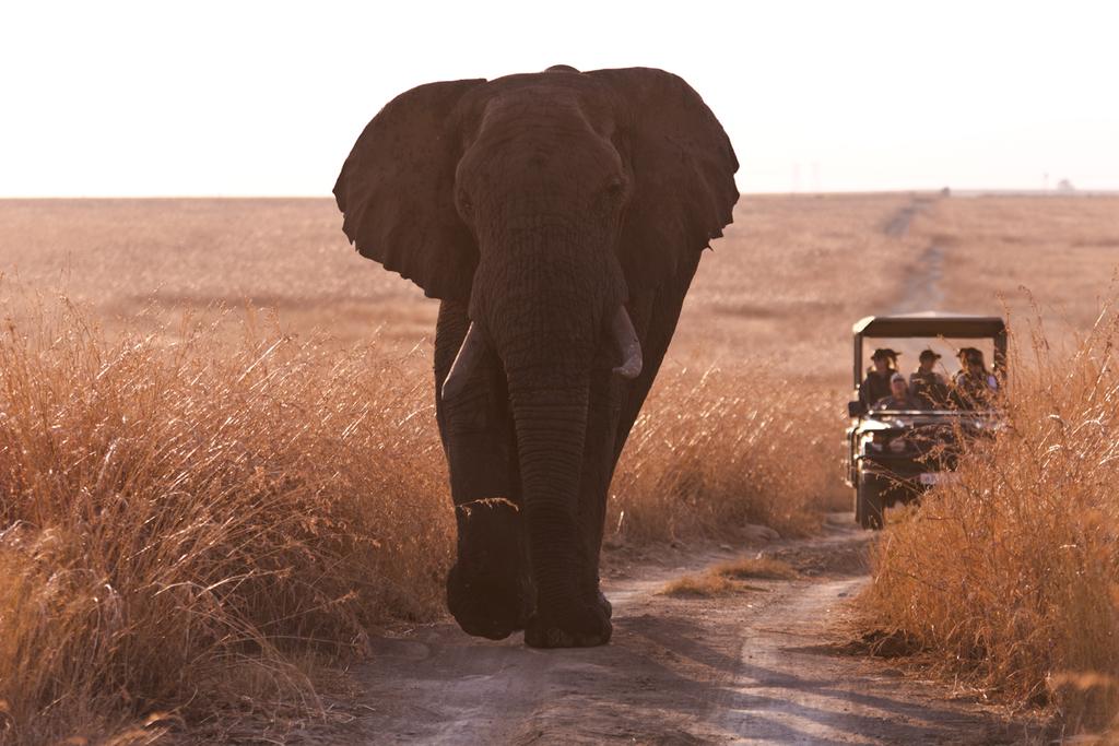 Nambiti Hills Private Game Reserve