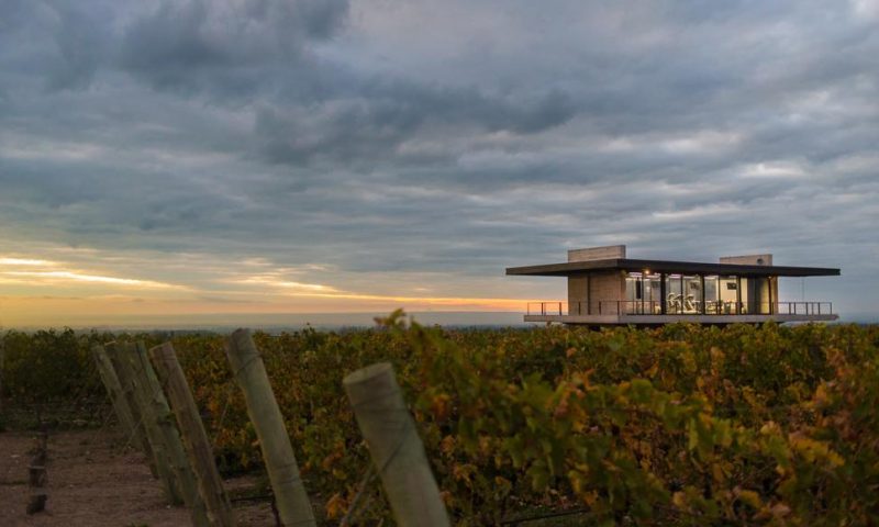 The Vines Resort & Spa Mendoza