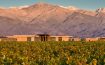 The Vines Resort & Spa Mendoza