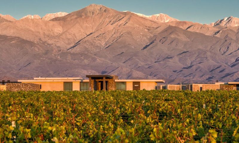 The Vines Resort & Spa Mendoza