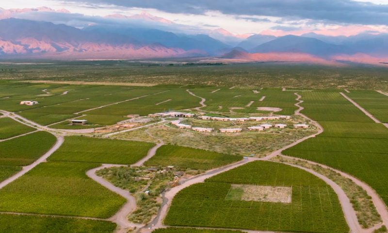 The Vines Resort & Spa Mendoza