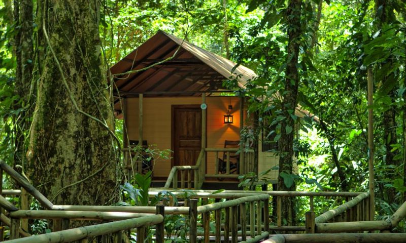 Evergreen Lodge Tortuguero