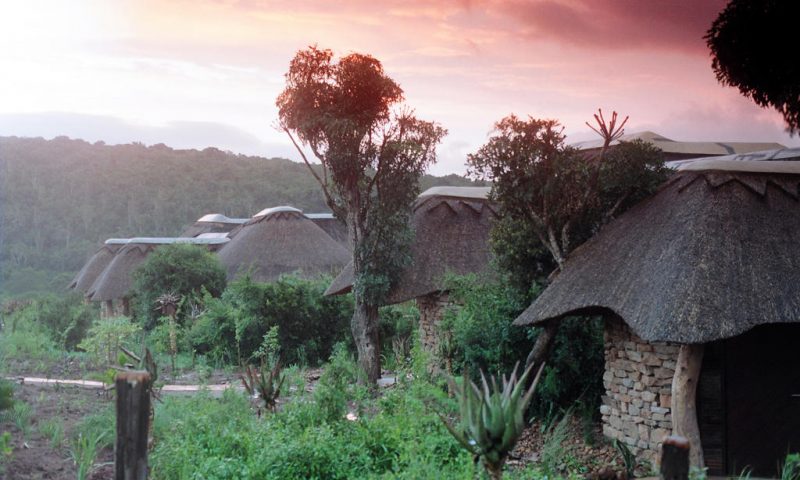 Pumba Private Game Reserve