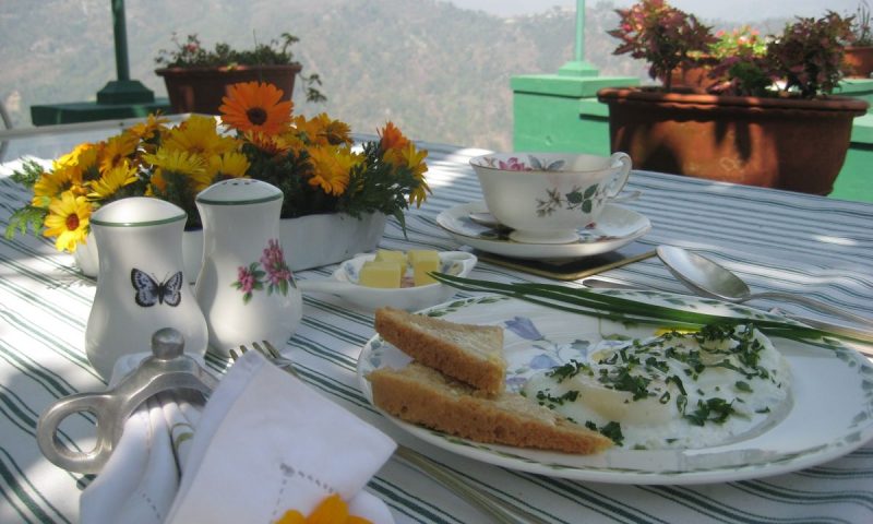 Glenburn Tea Estate